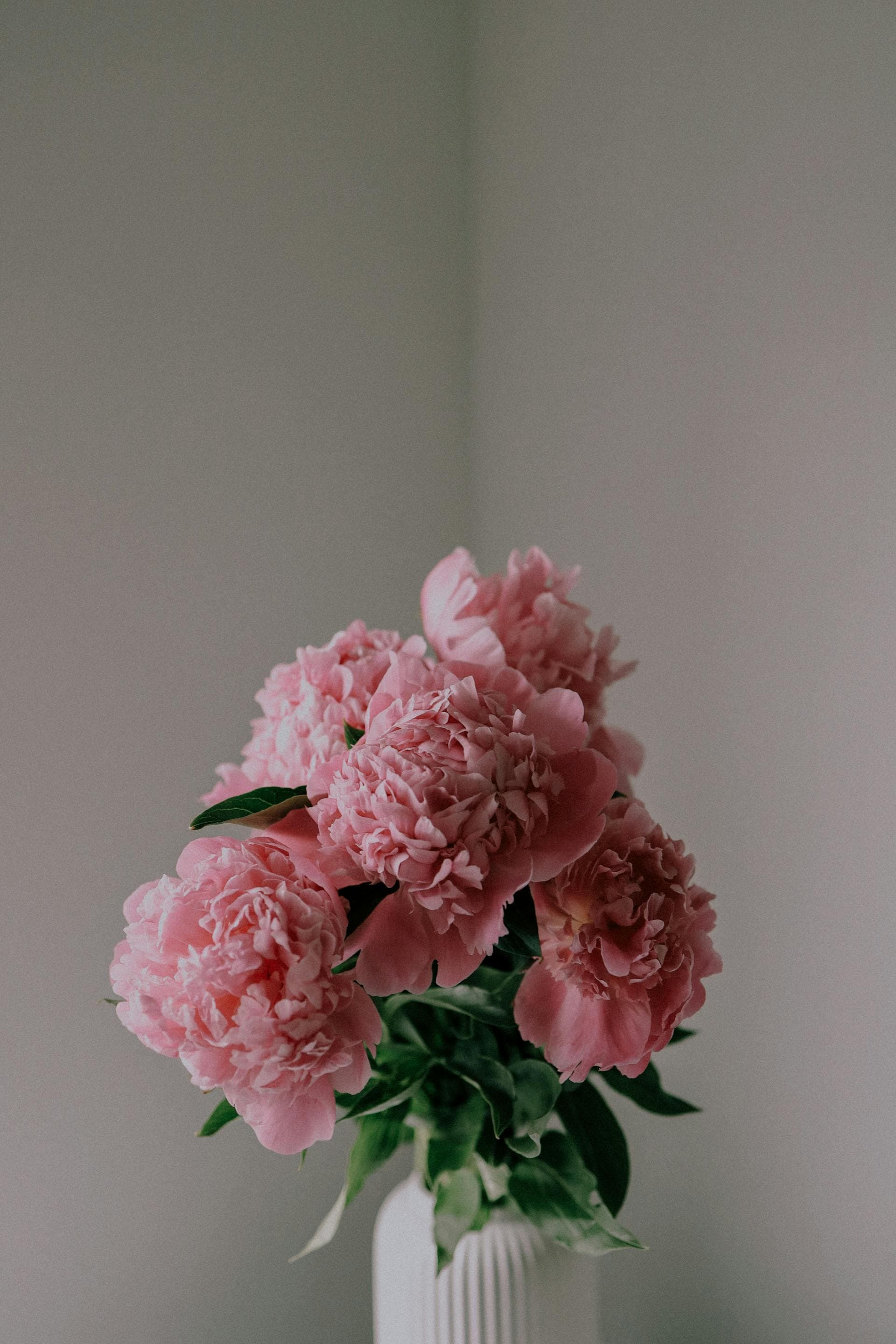 Frische Blumen